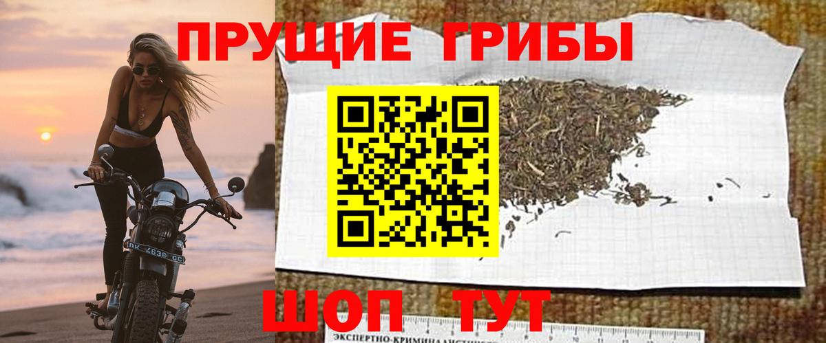 Псилоцибиновые грибы GOLDEN TEACHER Подольск
