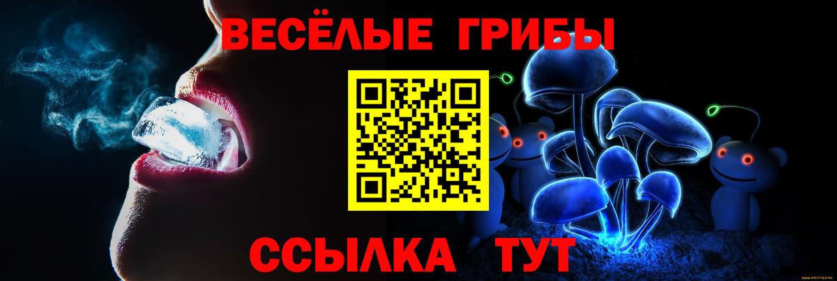 Галлюциногенные грибы MAGIC MUSHROOMS  как найти закладки  Подольск  Вход с VPN 