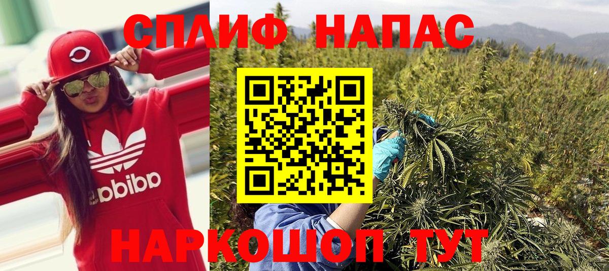Канабис конопля Подольск